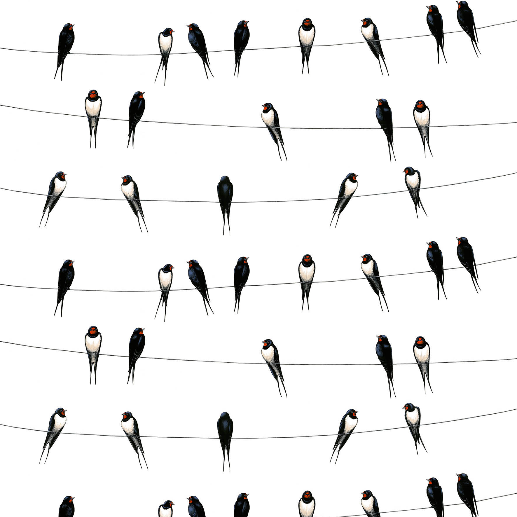 Tela Ladusvalor blanco