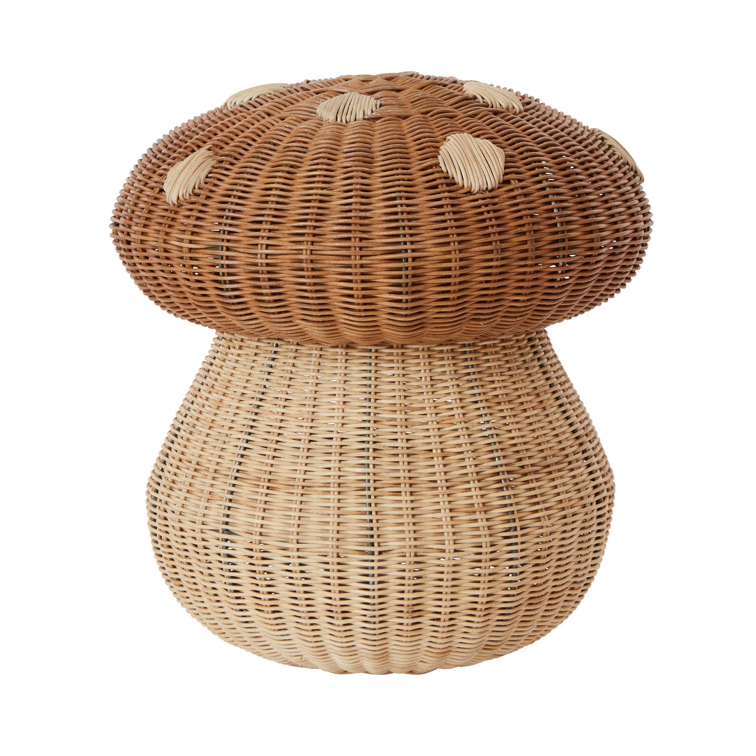Cesta Mushroom Nature