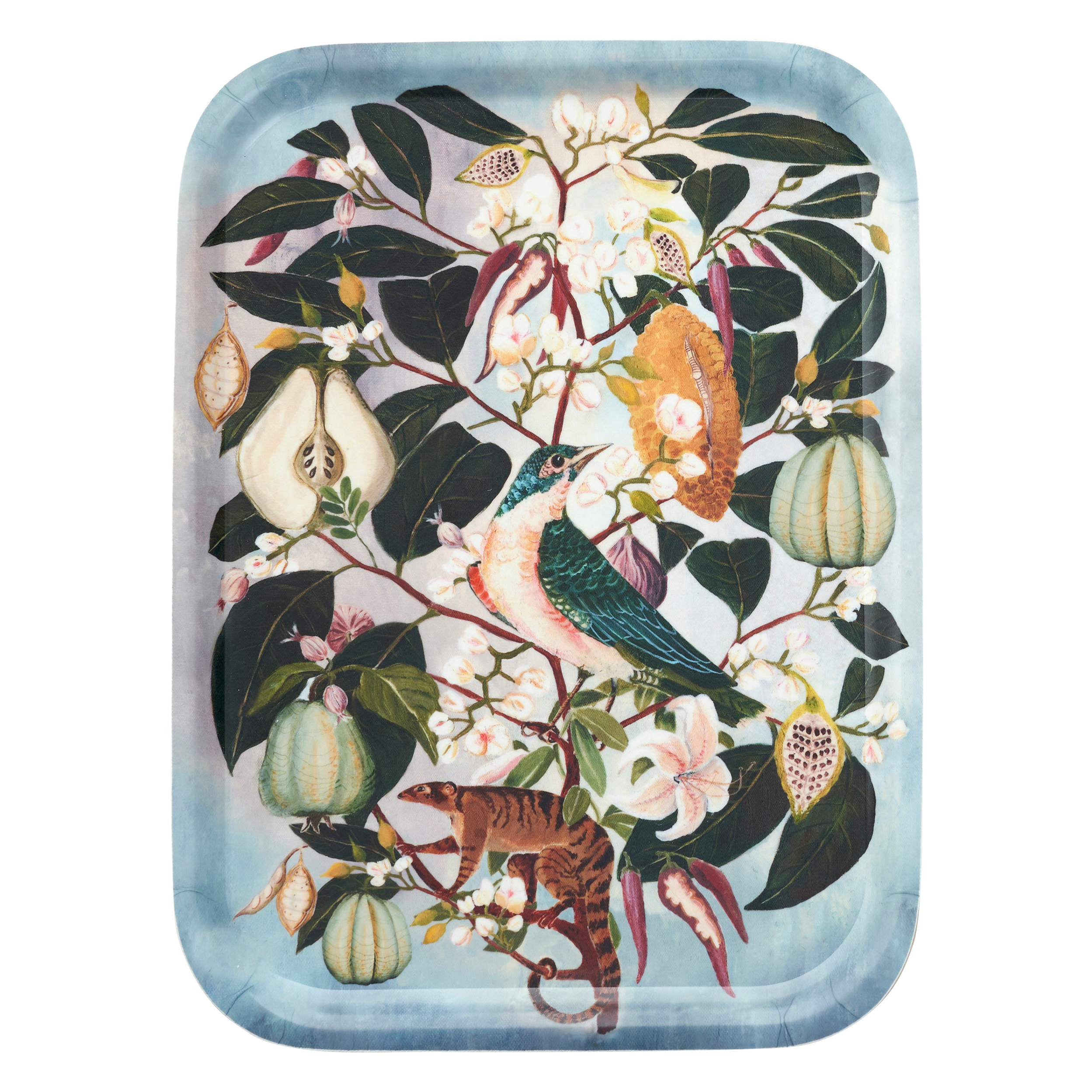 Bandeja Fruits 20x27 cm Multi