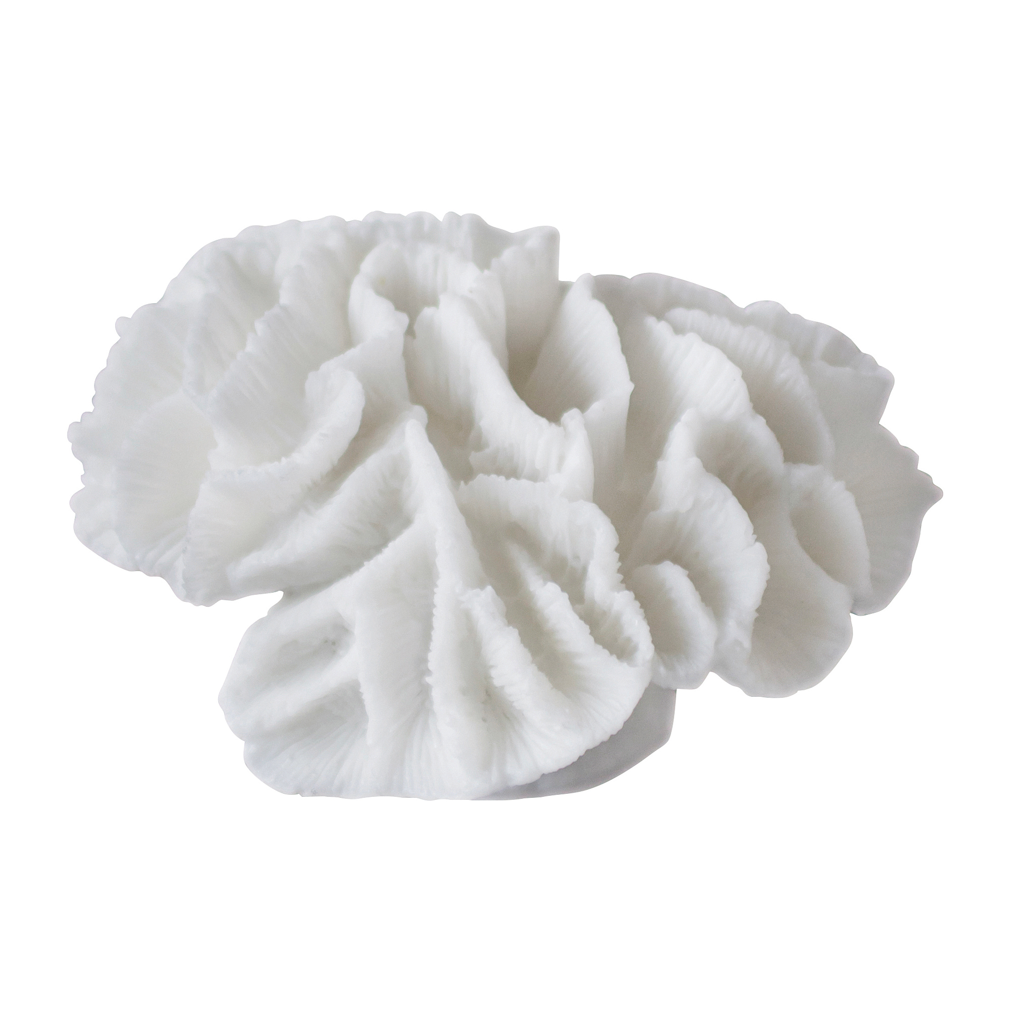 Decoración Coral gills White