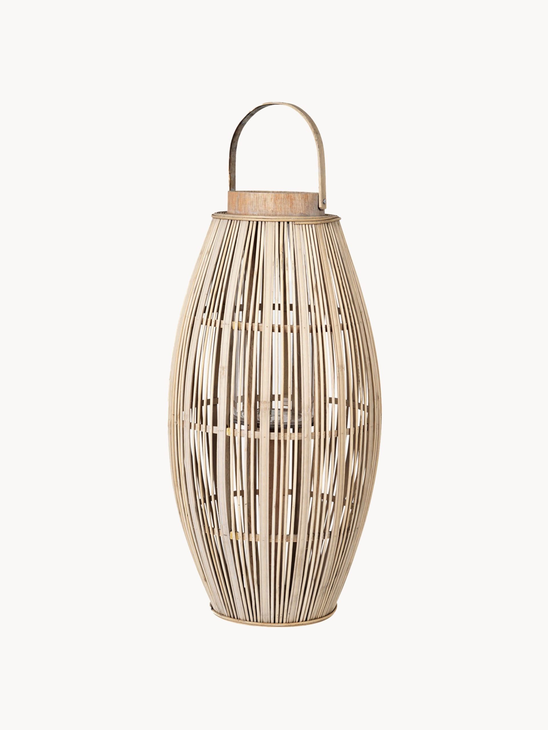 Farolillo Aleta, 63 cm