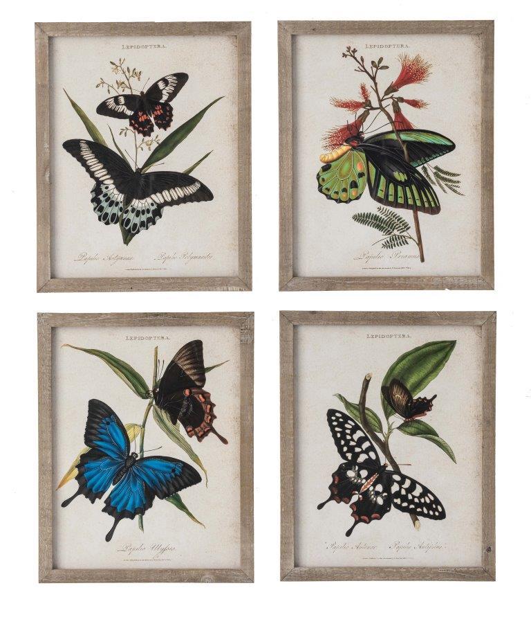 DKD Home Decor Cuadro Shabby con Mariposas de Cristal y Abeto Multicolor Beige 50x40 cm (4 Unidades)