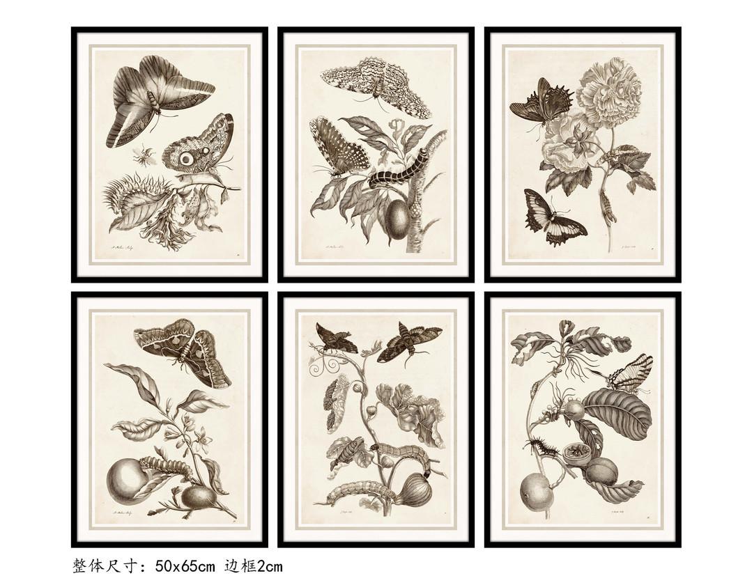 DKD Home Decor Cuadro Moderno Decoración Pared Cristal y Mdf con Flores y Insectos Gris Beige 65x50 cm Pack 6 Unidades Surtidas