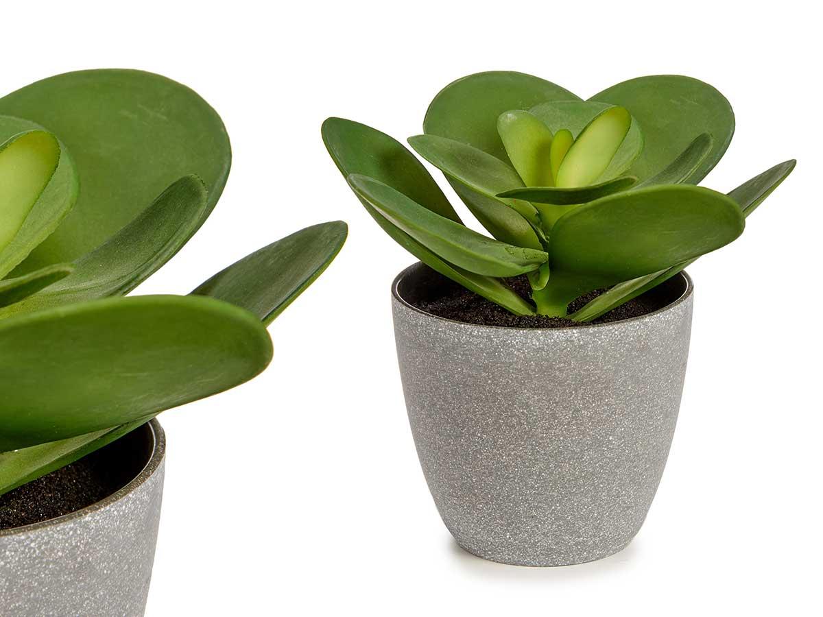 Ibergarden Maceta Planta Hoja Redonda Grande 18x18x18 cm, Verde/Gris, Plástico (12 Unidades)