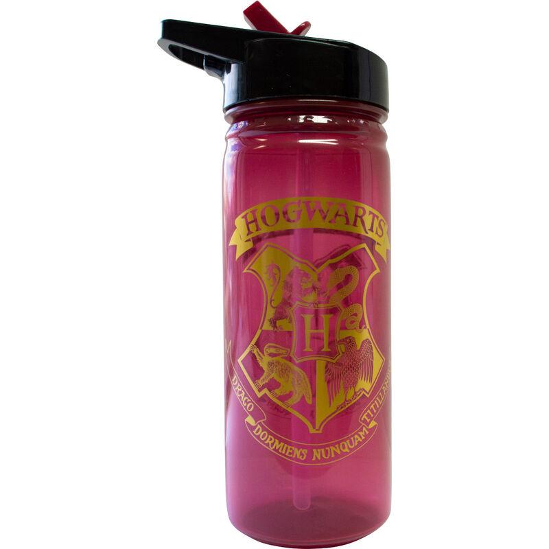 KIDS LICENSING Botella Harry Potter Hogwarts 600ml de Polipropileno