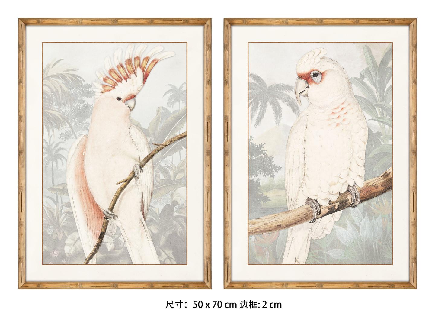 DKD Home Decor Set de 2 Cuadros Decorativos de Pared Tropicales con Cacatua Blanco Gris, Dimensiones 70x50 cm, Fabricados en Mdf y Cristal