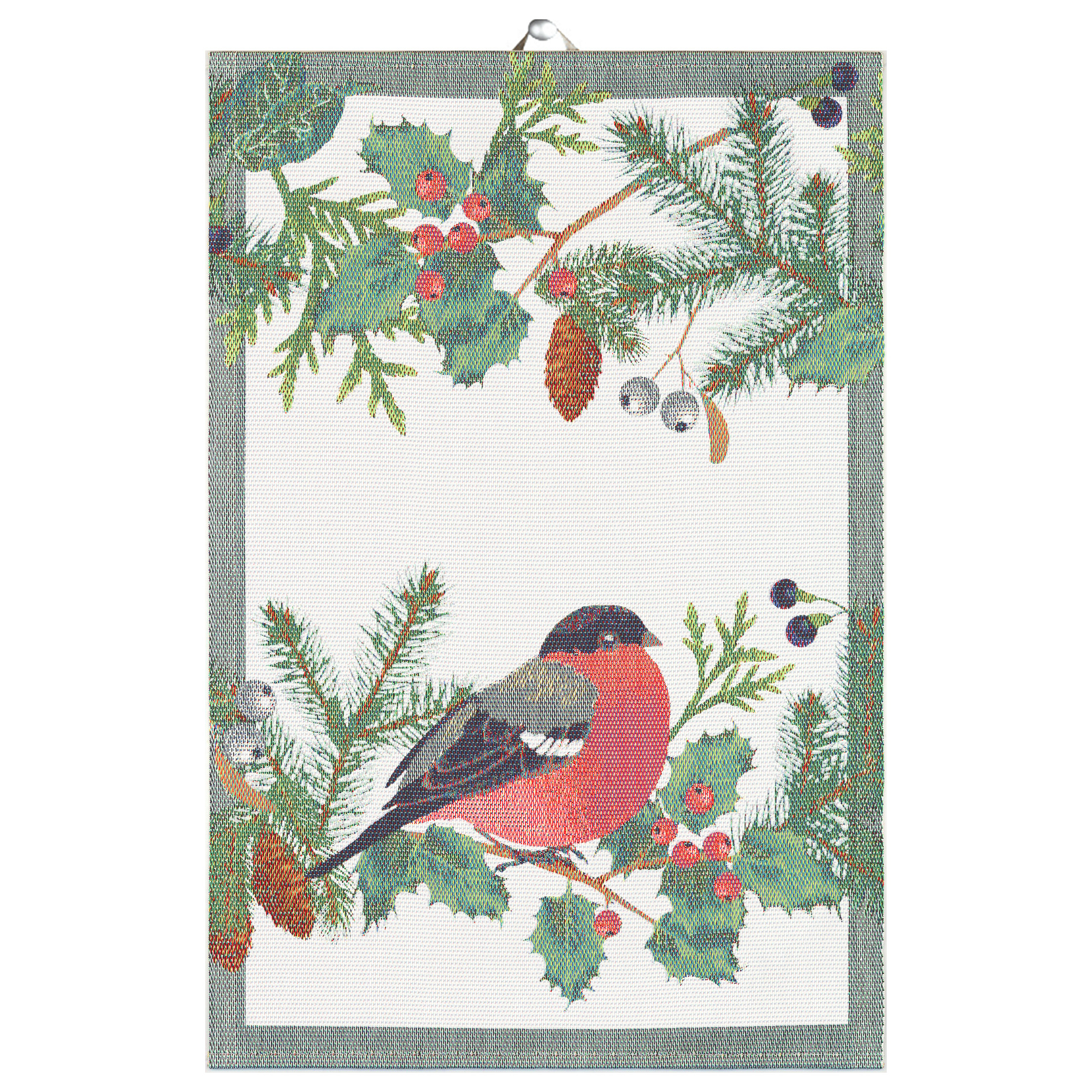 Paño de cocina Domherre 40x60 cm Multi