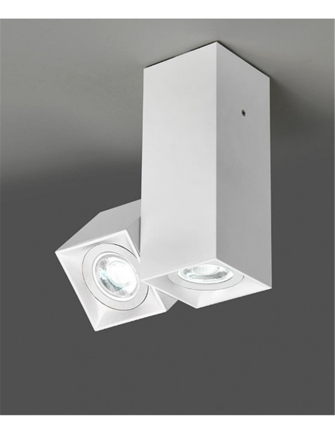 Plafón de techo Dau - Milan - Lámpara cúbica con foco orientable