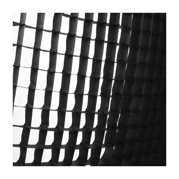 PROFOTO RFI SOFTGRID 50º 5' OCTA (150) PANEL DE ABEJA