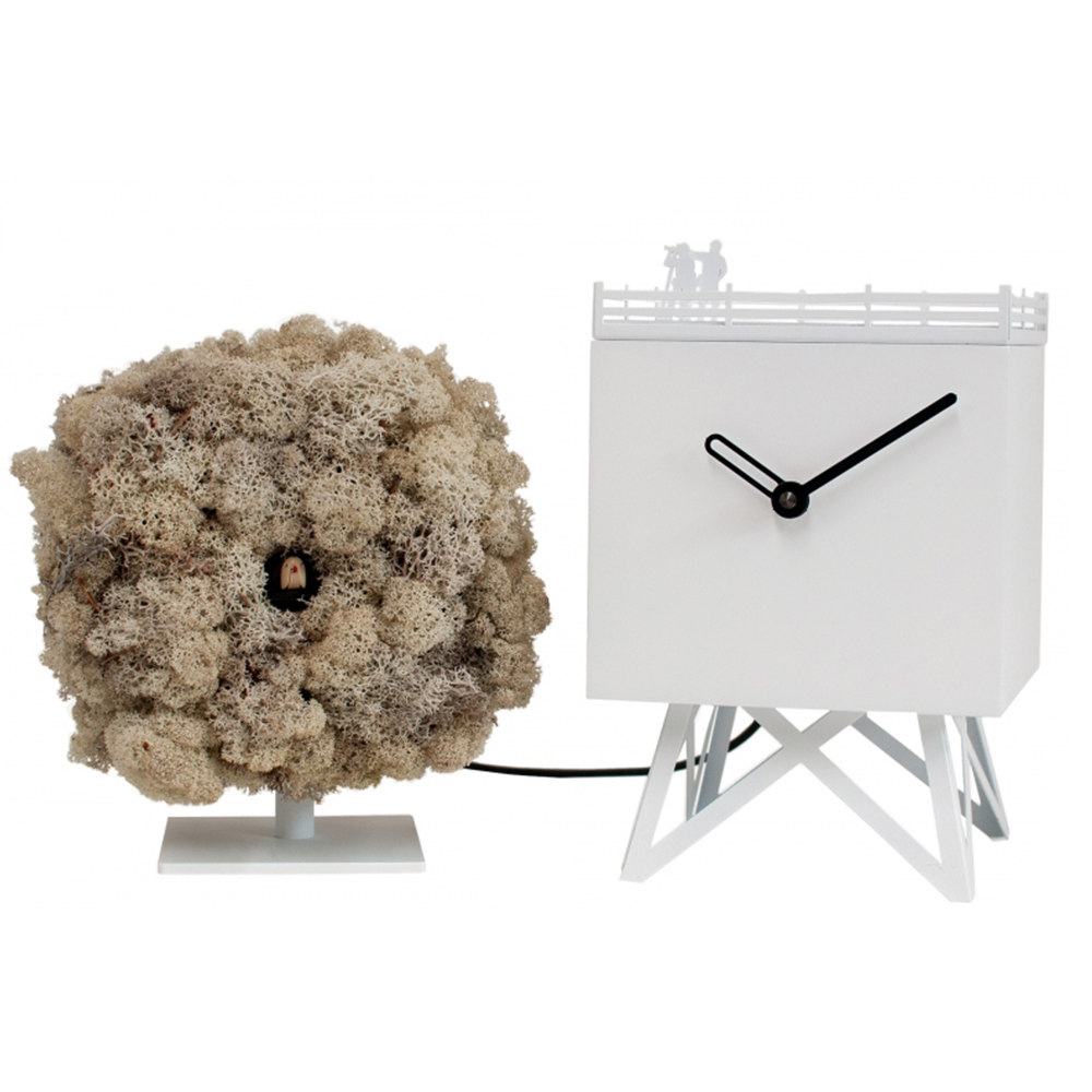 Reloj Birdwatching Progetti