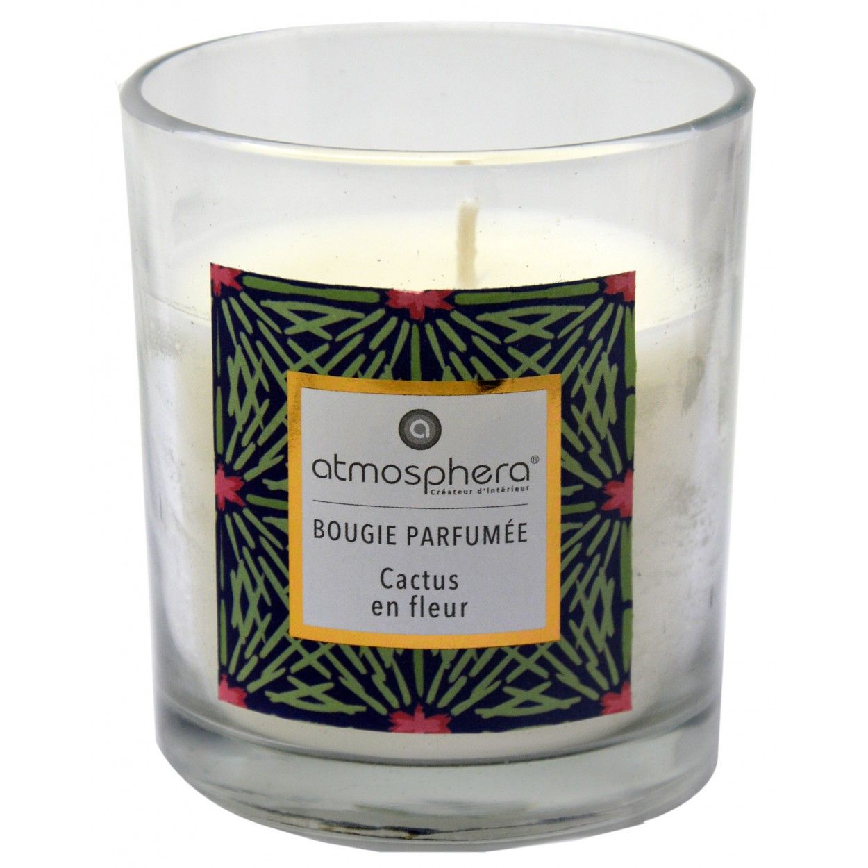 Vela Aromática Cactus con Vaso de Cristal y Caja Decorativa, Ideal para Regalar. Velas Perfumadas 110gr